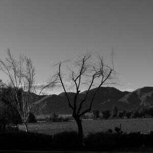 Meet your Posher, Noel